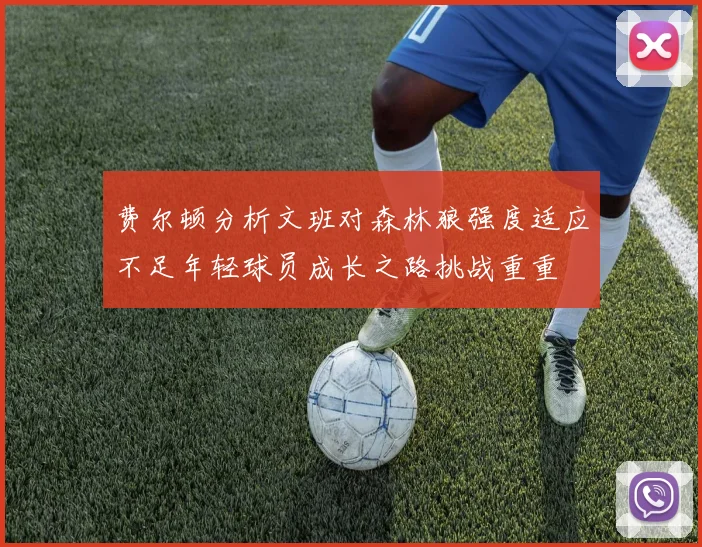 费尔顿分析文班对森林狼强度适应不足年轻球员成长之路挑战重重