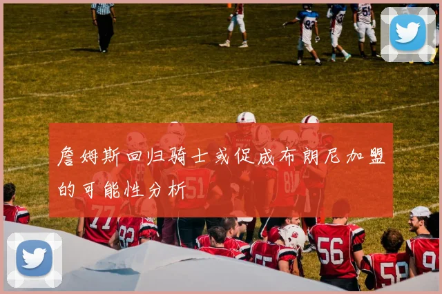 詹姆斯回归骑士或促成布朗尼加盟的可能性分析